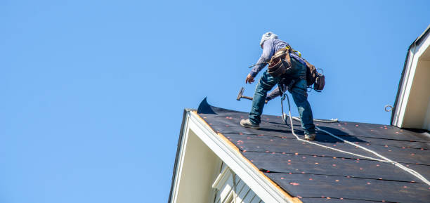 Best Roof Gutter Cleaning  in Bull Mountain, OR
